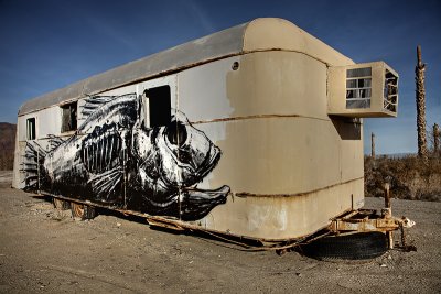 Abandoned: Salton Sea