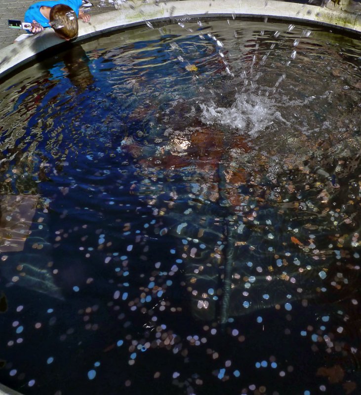 Coins in the fountain