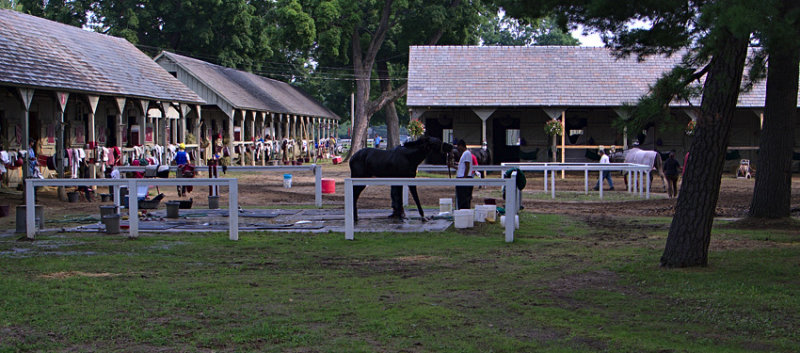 Morning at Saratoga Races #2