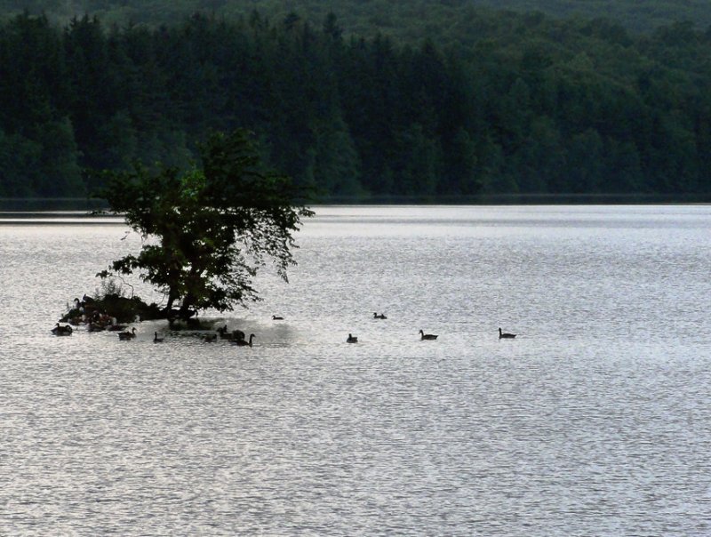 June 2010 Challenge - West Hartford Reservoir 