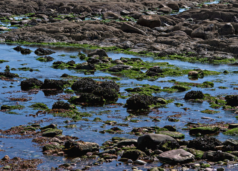 Ballyquin-East Beach
