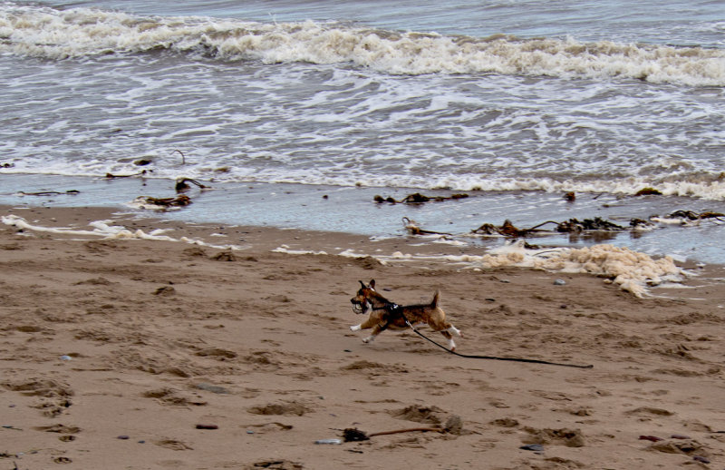 Fetching