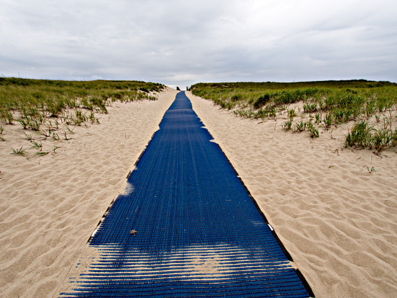 The Blue Carpet