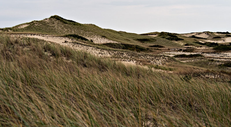 Sand Dunes