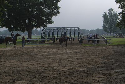 Morning at Saratoga Races