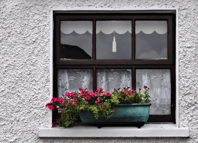 Flowers in a cottage window.