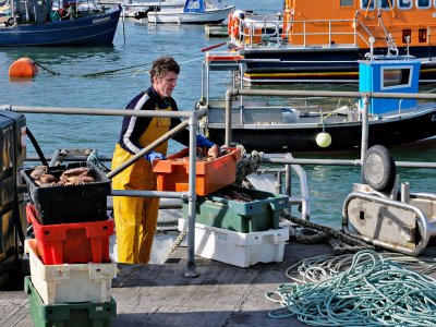 Ballycotton Pier - Bringing in the catch