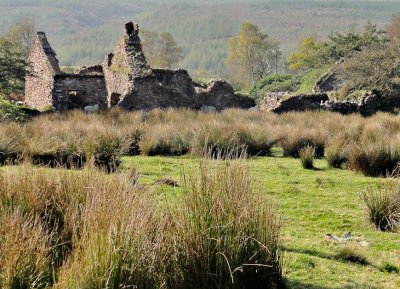 An Irish Ruin