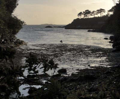 Kenmare Bay