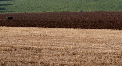 An Irish field.