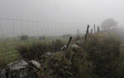 Wire fence in the mist