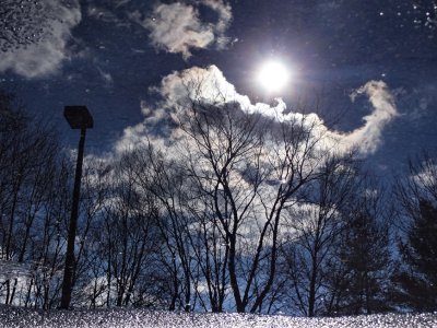 Puddle in a parking lot. Feb Chall #4