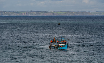 Faoilean Ban trawler coming in to Helvick Head Harbour
