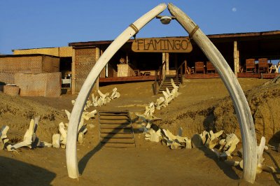 Flamingo Lodge Entrance