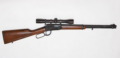 Iver Johnson .22 LR