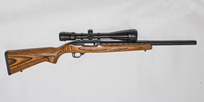 Ruger 10/22 Target .22 LR