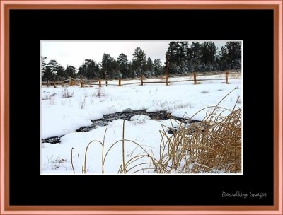 Big Bear Snow 8