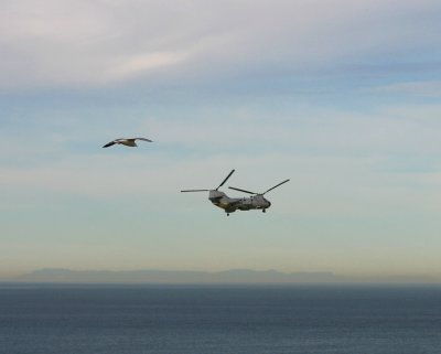 CH-46 Sea Knight with a GU-11 escort