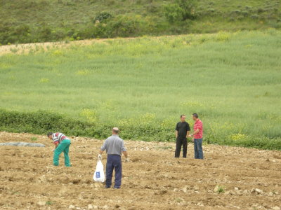 Working the fields