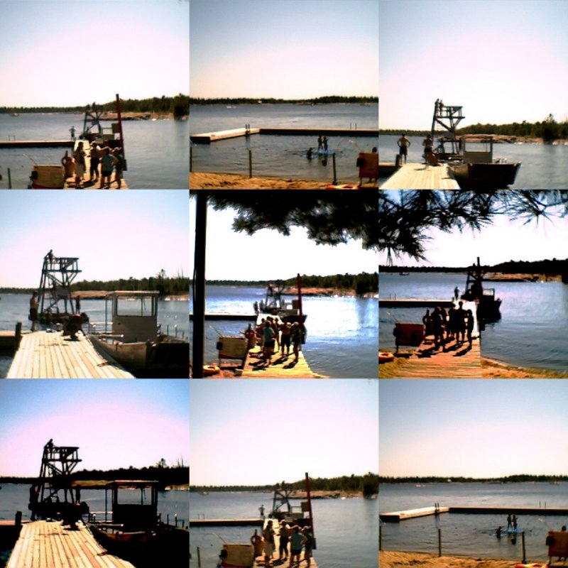 collage6.jpg