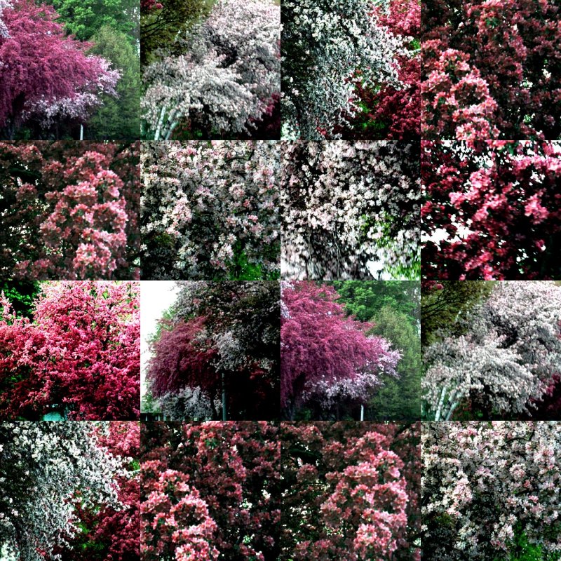 collage131.jpg