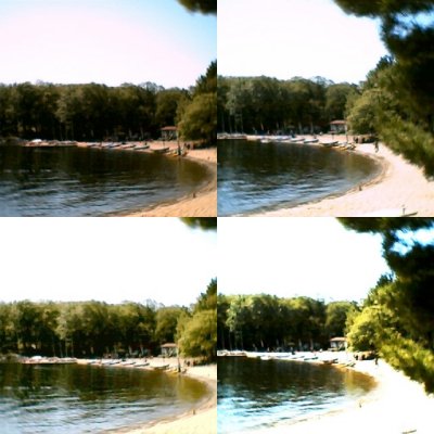 collage5.jpg