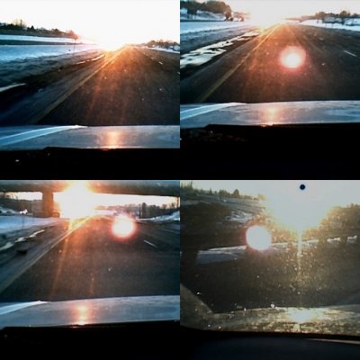 collage7.jpg