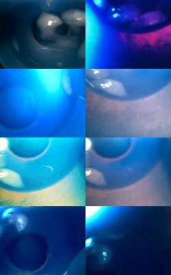 2008-12-30 All in a Glass of Water3.jpg