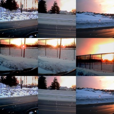 collage98.jpg