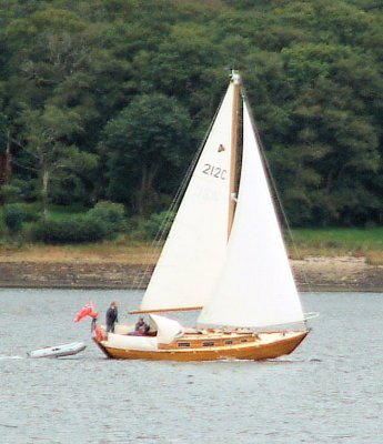 Rose of Mearns