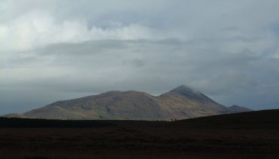 g1/01/805801/3/105234545.2CUj8R7N.jpg