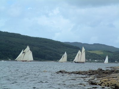 Fife Regatta 2008-3