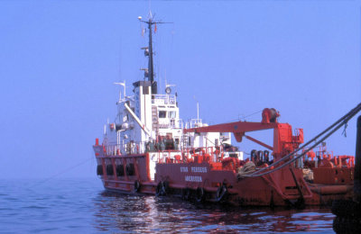 Star Perseus