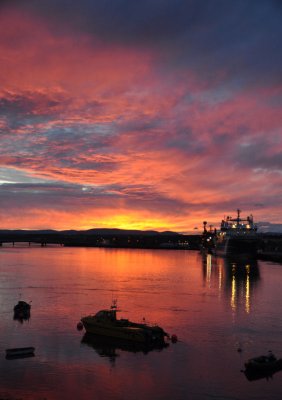 Montrose Harbour Sunset