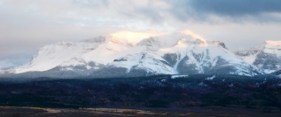DSC_0107t2r2j2.jpg