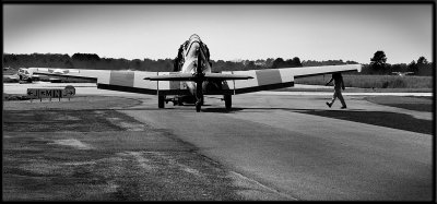 DSC_9095-bw.jpg