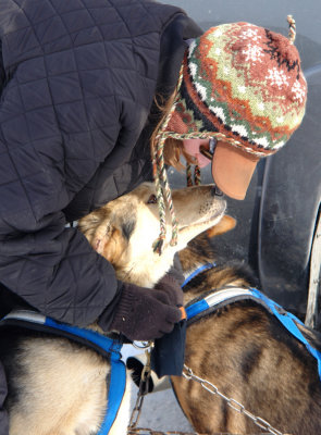 g1/01/825301/3/110433123.0OL9m0qF.jpg