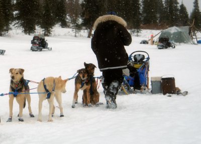 iditarod_2009