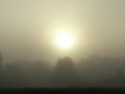 in fog