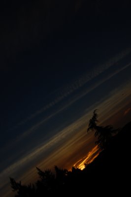 g1/01/826401/3/131541717.oqRWe8hF.jpg