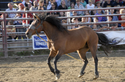 : : Rodo St-Victor en Beauce : :