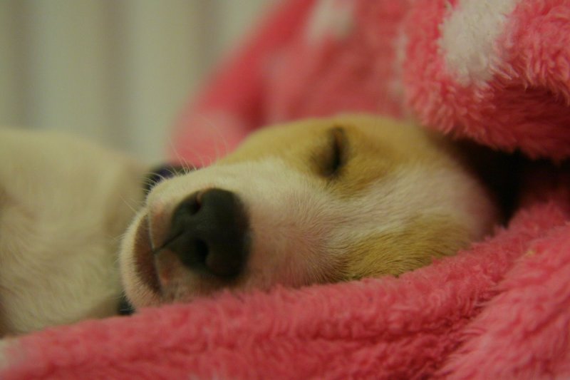 Crashed out