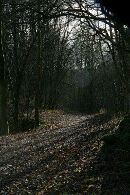 Path leading to Gibsons cave