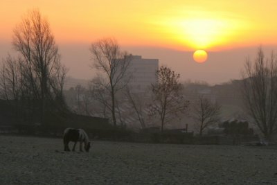 Bishop Auckland Sunrise viewed from Toronto