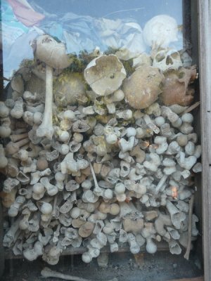 Des ossements humains des victimes au temps des Kmers rouges