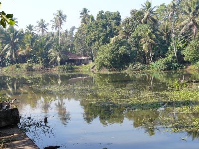 Village de Aymanam