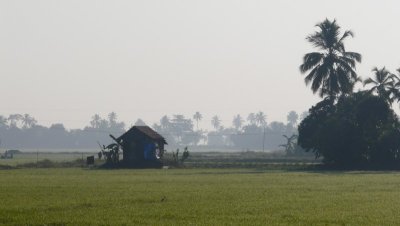 g1/01/856501/3/108554168.KRVKbvVF.jpg