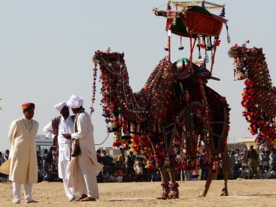 Concours de Dcoration de chameau