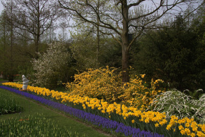 Keukenhof Garden 1