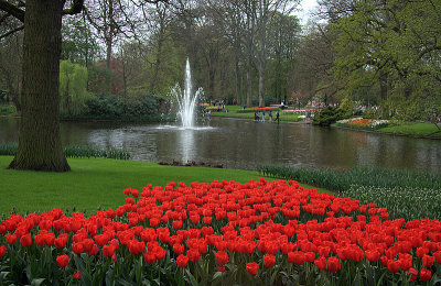 Keukenhof Garden Pond